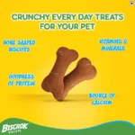 The flavor of Pedigree Chicken Dog Treats Biscrok Dog Biscuits (500g) - Image 5