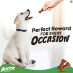 The flavour of Pedigree Chicken Dog Treats: Biscrok Dog Biscuits - Image 5