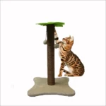 Toy of a Basil Coconut Tree for Cats and Kittens (Green/Brown) - Image 2