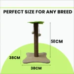 Toy of a Basil Coconut Tree for Cats and Kittens (Green/Brown) - Image 4