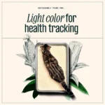 Unscented Large Grains Multi-Cat Cat Litter That Is Sustainable for You - Image 7