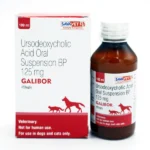 Ursodeoxycholic Acid (Savavet Galibor Supsension) for Dogs and Cats (100ml)