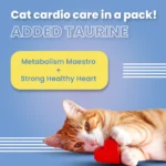 Vivaldis Hairball Control Pillow Cat Treats Bark Out Loud - Image 7