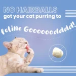 Vivaldis Hairball Control Pillow Cat Treats Bark Out Loud - Image 8