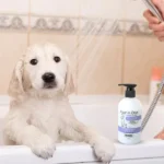 Wahl All-Inclusive Lavender Chamomile Relaxing Dog Shampoo - Image 4
