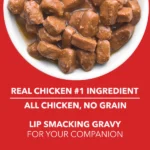 Wet food for puppies that drools over real chicken and chunks of chicken liver in gravy - Image 6