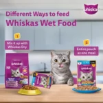 Whiskas Tuna in Jelly Meal Wet Food for Adult Cats - Image 2