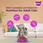 Whisky Mackerel Flavour Kitten (2 to 12 months) Dry Food for Cats - Image 5