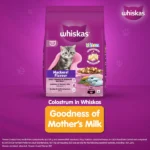 Whisky Mackerel Flavour Kitten (2 to 12 months) Dry Food for Cats - Image 2