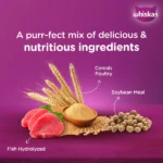 Whisky Mackerel Flavour Kitten (2 to 12 months) Dry Food for Cats - Image 4