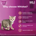Whisky Mackerel Flavour Kitten (2 to 12 months) Dry Food for Cats - Image 3