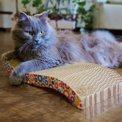 With 2g of premium catnip free, Skatrs is the ultimate wave cat scratcher (15x7.5x2.8in)