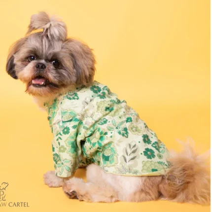 Zari Sherwani and the Papaw Cartel Floral for Dogs (Green)