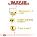 Adult Golden Retriever Royal Canin Dry Food - Image 4