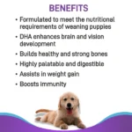 All Breeds of Canine Creek Pup Booster Puppy Weaning Diet - Image 4