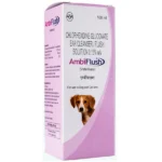 Ambiflush Ear Cleaner by Intas (100ml)