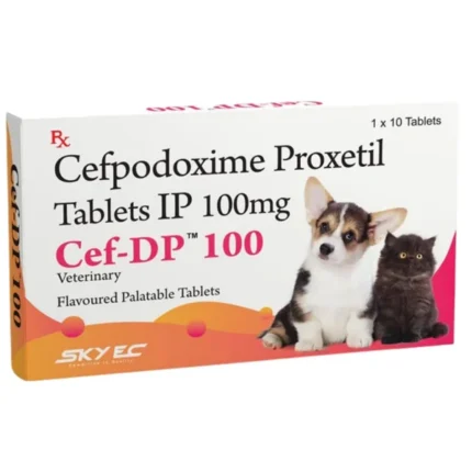 Cefpodoxime Proxetil (Skyec Cef DP 100mg) Tablets for Cats and Dogs