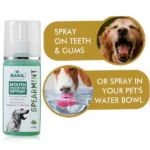 Dogs Basil Spearmint Mouth Spray - Image 5