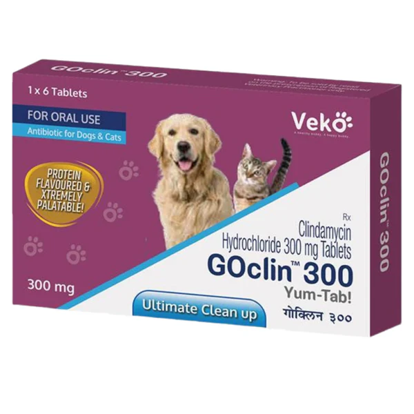 Dogs and cats can take six Veko Goclin 300mg (Clindamycin) tablets. Dogs and cats can take Veko Goclin 300mg Clindamycin (6 tablets) - Image 1