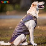 Dogs and cats can wear Skatrs Brocade Gold Printed Sherwani(Blue) - Image 4