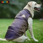Dogs and cats can wear Skatrs Brocade Gold Printed Sherwani(Blue) - Image 3