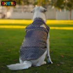 Dogs and cats can wear Skatrs Brocade Gold Printed Sherwani(Blue) - Image 2