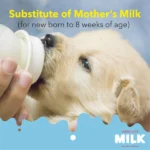 Drools Newborn Puppies Absolute Milk - Image 3