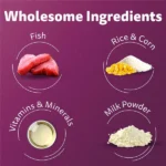 Dry food for Whiskas Ocean Fish Kitten Mother and Baby Cat - Image 4