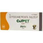 For dogs and cats Intas Cefpet 100mg (Cefpodoxime Proxetil) Tablet - Image 2