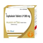 For dogs and cats Oriheal Palacef Vet 300mg (Cephalexin) Tablet