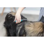 For dogs and cats the Trixie Fur Detangler with Curved Teeth Brush - Image 2