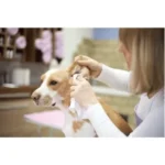 M Pets Dog Ear Cleaner - Image 2