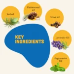 Natural Treatments for Dogs and Cats Nomo Ticks Body Spray - Image 5