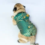 Sherwani Pawgypets for Dogs and Cats - Image 4