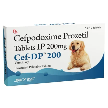 Skyec Cef DP 200mg Tablets for Dogs and Cats (Cefpodoxime Proxetil)