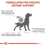 The Veterinary Diet of Royal Canin  Dog Dry Food for Weight Management and Satiety - Image 3