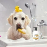 Wahl Oatmeal Shampoo for Dogs (Coconut Lime Verbana) - Image 3