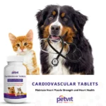 Coenzyme Q 10 supplements and Petvit cardiovascular tablets for cats and dogs - Image 4