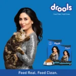 Drools Ocean Fish Dry Food for Adult Cats - Image 7