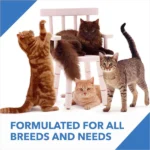 Drools Ocean Fish Dry Food for Adult Cats - Image 6