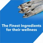 Drools Ocean Fish Dry Food for Adult Cats - Image 5