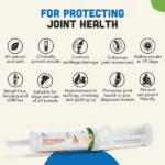 Natural Solutions  For dogs and cats Orthoron Joint Supplement Paste - Image 5