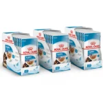 Royal Canin Maxi Wet Food for Dogs - Image 4