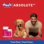 The combination of Drools Absolute Skin & Coat Tablets and Salmon Oil Syrup Supplement for Dogs - Image 4