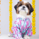 Dog Phataka Kurta with 15 Furries - Image 5