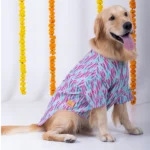 Dog Phataka Kurta with 15 Furries
