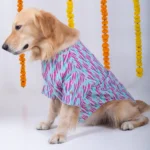 Dog Phataka Kurta with 15 Furries - Image 4