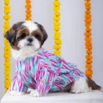 Dog Phataka Kurta with 15 Furries - Image 2