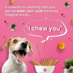 Eyebright Chew Stix Dog Treats with Bark Out Loud Tear Stains - Image 4