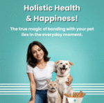 Dogs' Basil Rope Leash (Black/Blue) - Image 2